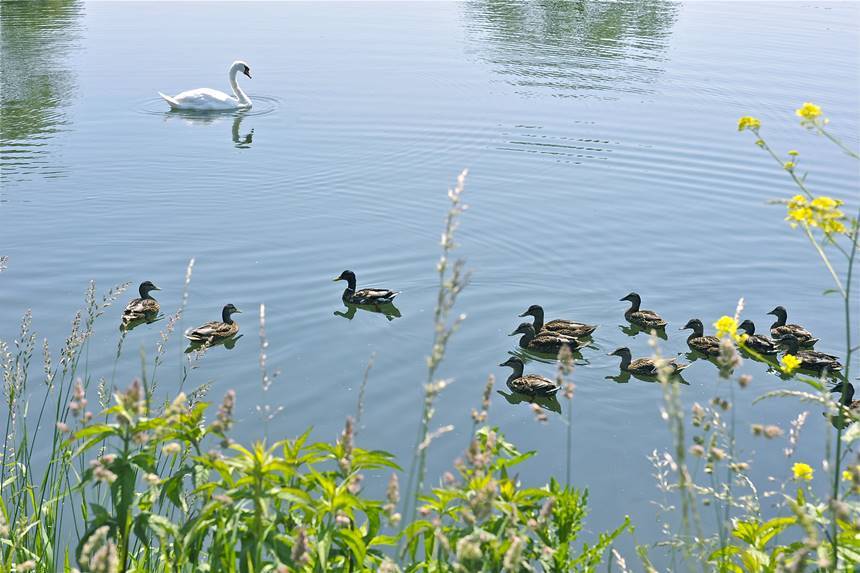 Camping Beauséjour, Arques, Pas-de-Calais